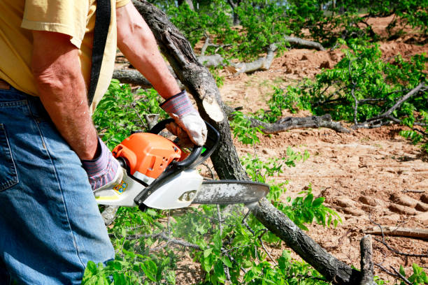 Best Aeration Services  in Waterville, NY